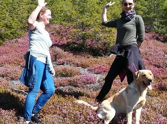 Sandhof 3* كنيتلفيلد